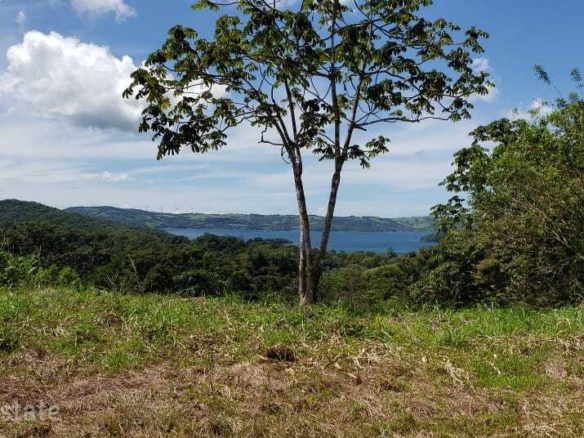 Estate Sized Lot with Great Lake View
