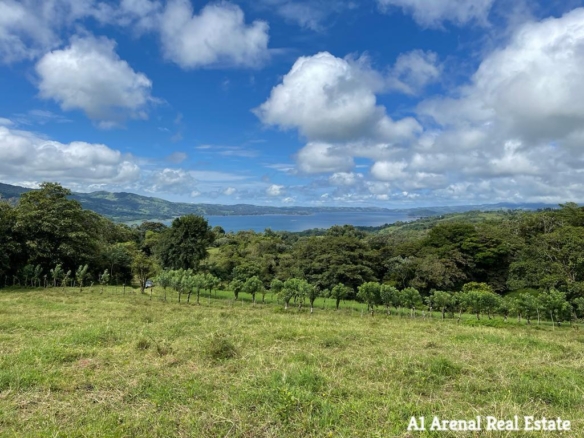 Beautiful Large Lot in La Union!