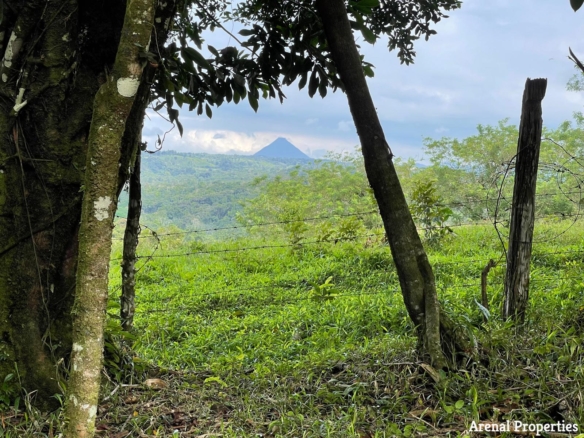 Tranquil Ready-to-Build Volcano View Lot