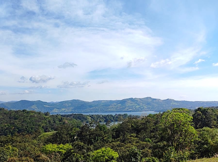 Incredible Lot in Desirable Rainbow Bay Community