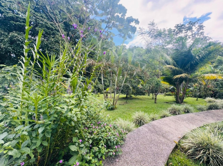 Lake Arenal Jewel: Exclusive Lakeview Estate with Private Lake Access & Separate Apartment.