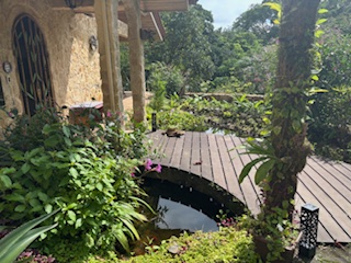 Lake Arenal Jewel: Exclusive Lakeview Estate with Private Lake Access & Separate Apartment.