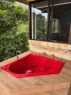 Lake Arenal Jewel: Exclusive Lakeview Estate with Private Lake Access & Separate Apartment.