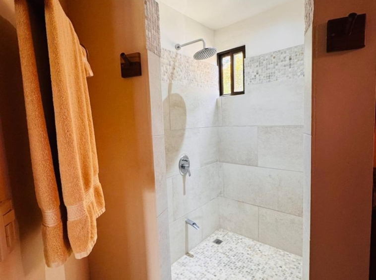 Lake Arenal Jewel: Exclusive Lakeview Estate with Private Lake Access & Separate Apartment.