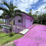 The Pink Flamingo Duplex – Two-Unit Home with Views & Personality Near Tronadora