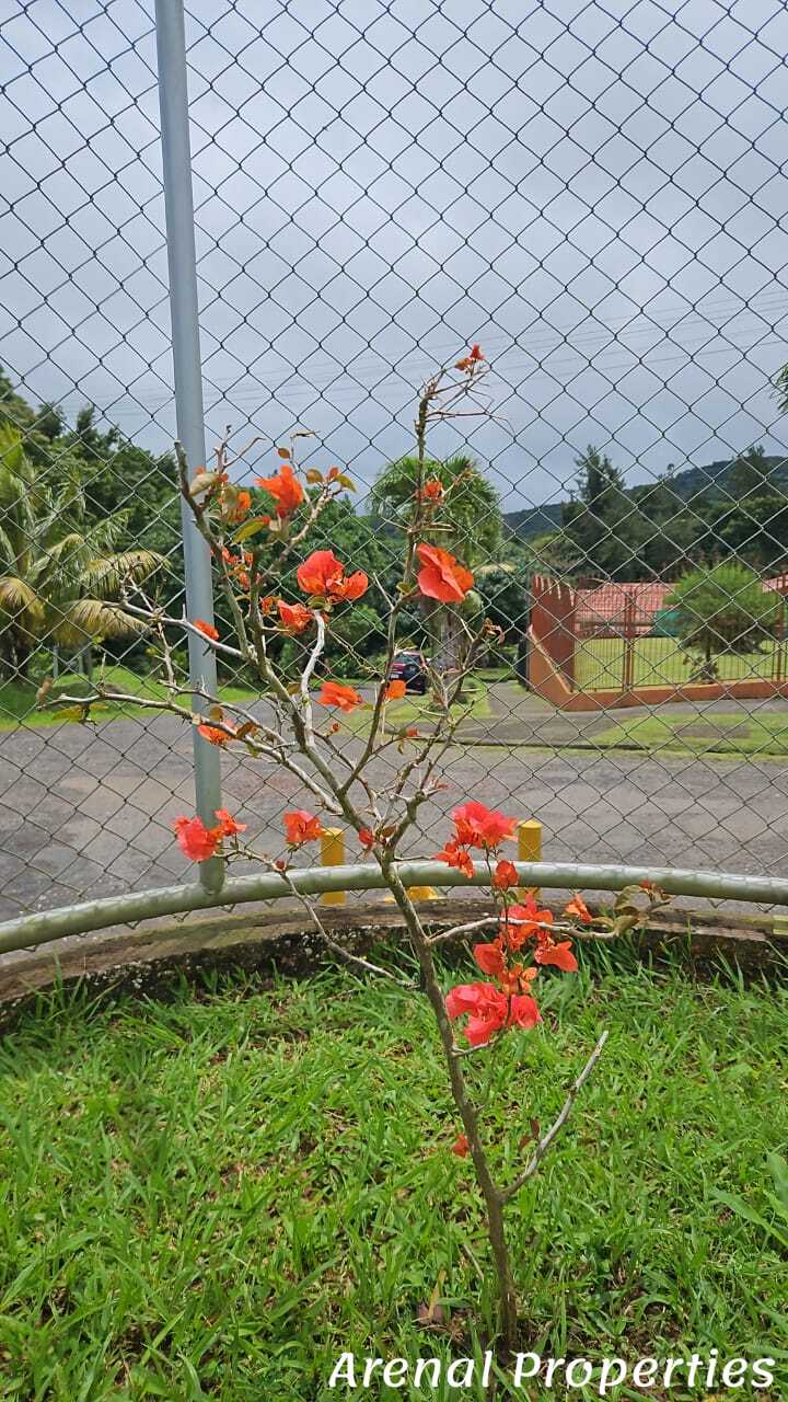 Central Classic with Oversized Garage & Wildlife Views – Nuevo Arenal, Costa Rica