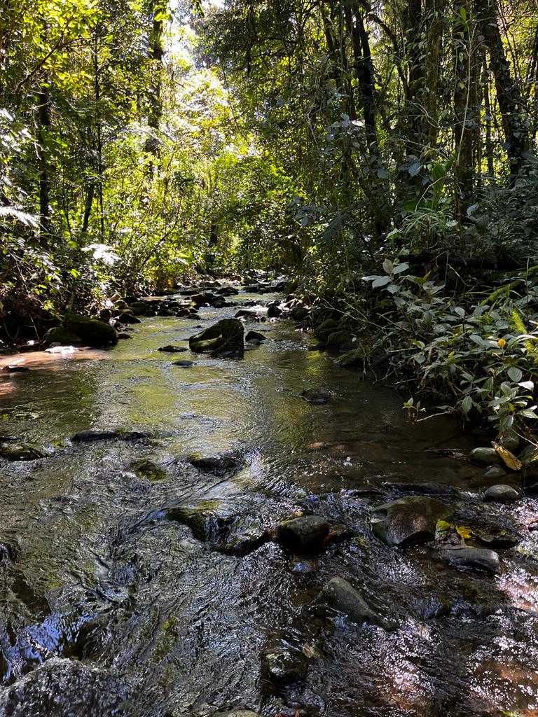 36-Acre Hillside Haven with Streams & Valley Views – Near Monteverde, Costa Rica