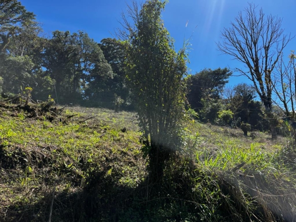 36-Acre Hillside Haven with Streams & Valley Views – Near Monteverde, Costa Rica