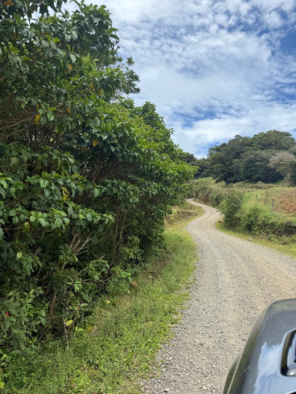 36-Acre Hillside Haven with Streams & Valley Views – Near Monteverde, Costa Rica