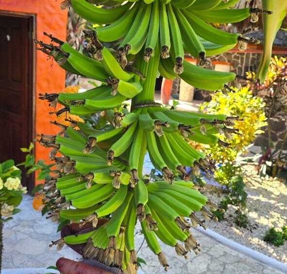 Turnkey Hotel Investment Opportunity Near Playa Tambor, Costa Rica