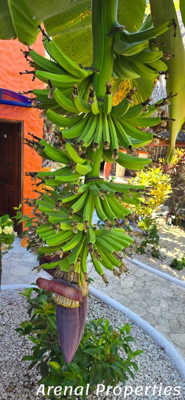 Turnkey Hotel Investment Opportunity Near Playa Tambor, Costa Rica