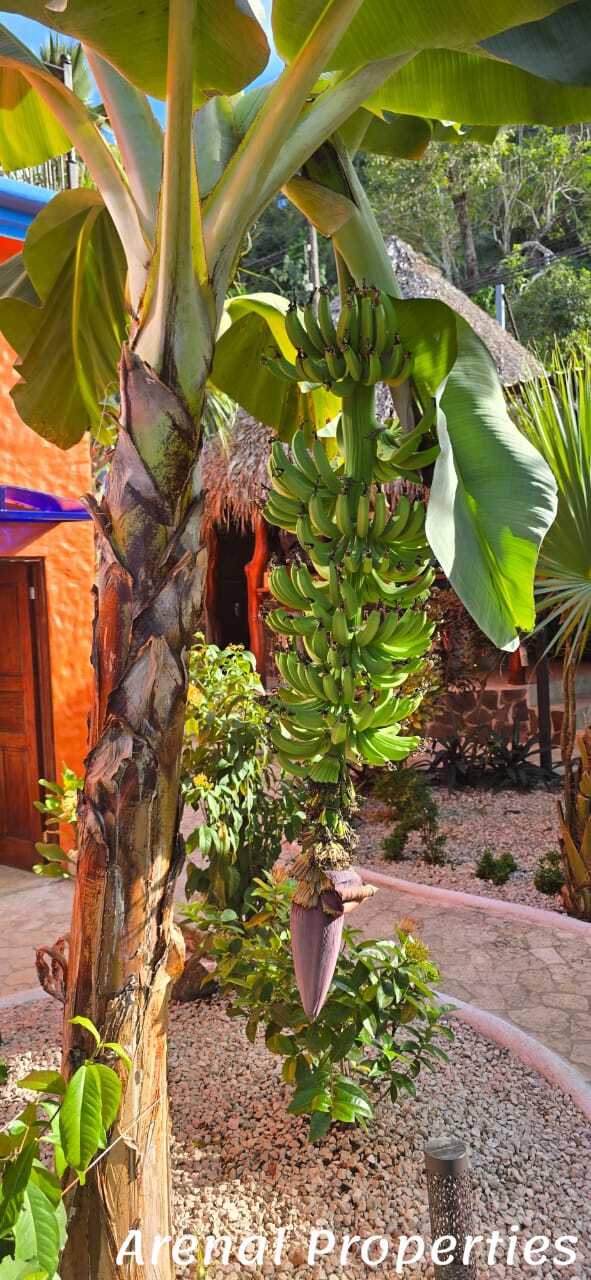 Turnkey Hotel Investment Opportunity Near Playa Tambor, Costa Rica