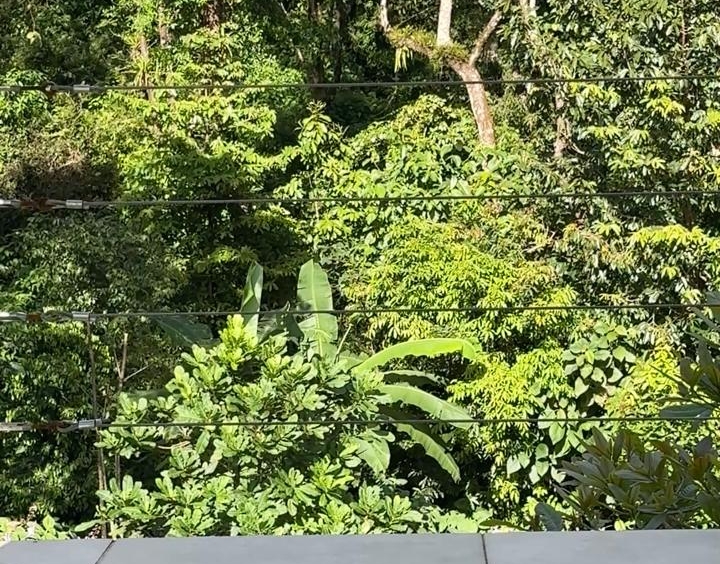 Lake Arenal View Casita with Expansive Views and Future Build Potential