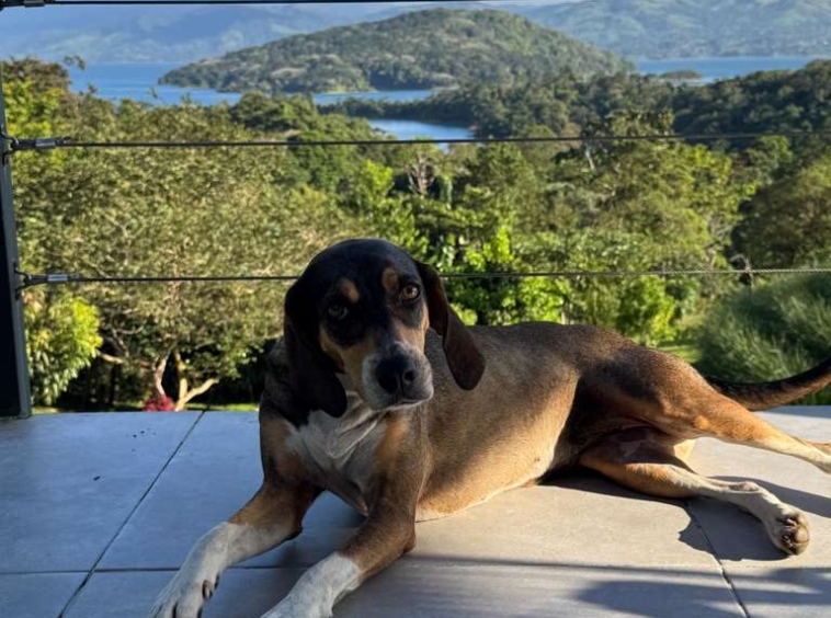 Lake Arenal View Casita with Expansive Views and Future Build Potential