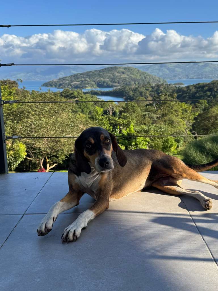 Lake Arenal View Casita with Expansive Views and Future Build Potential