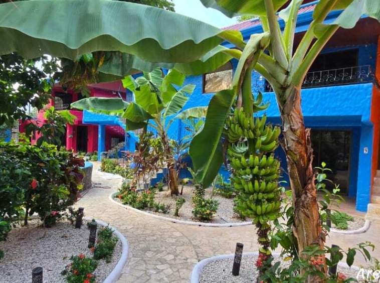 Turnkey Hotel Investment Opportunity Near Playa Tambor, Costa Rica