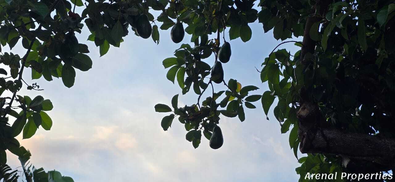 Turnkey Hotel Investment Opportunity Near Playa Tambor, Costa Rica