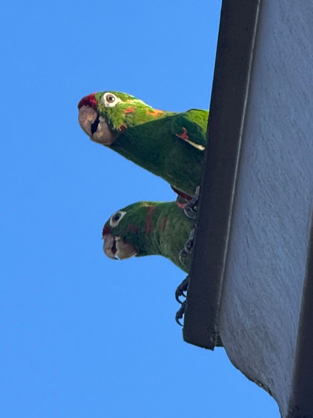 Lake Arenal View Casita with Expansive Views and Future Build Potential