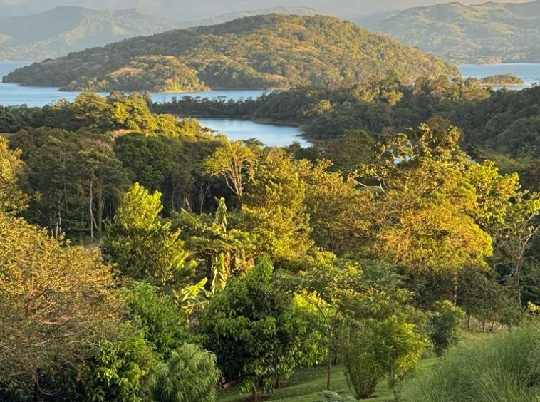 Lake Arenal View Casita with Expansive Views and Future Build Potential