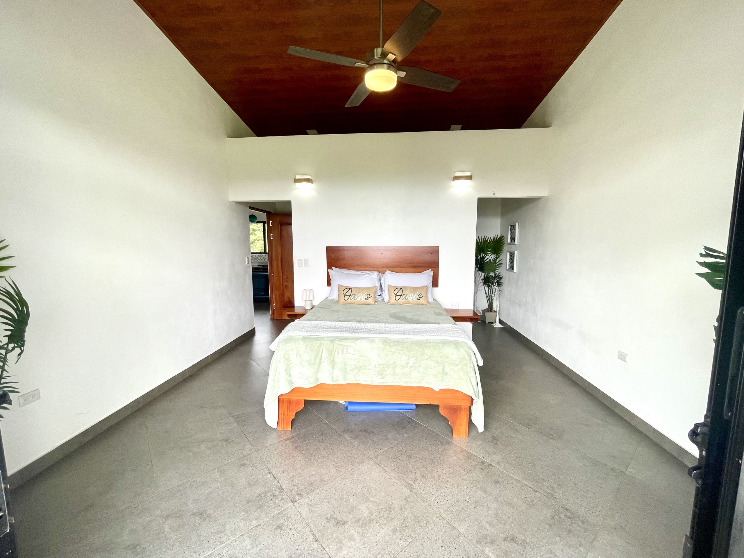 Lakefront Bed & Breakfast — Turnkey, Views, and True Lake Access Nuevo Arenal APMLS0043