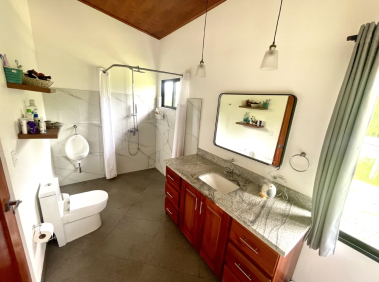 Lakefront Bed & Breakfast — Turnkey, Views, and True Lake Access Nuevo Arenal APMLS0043