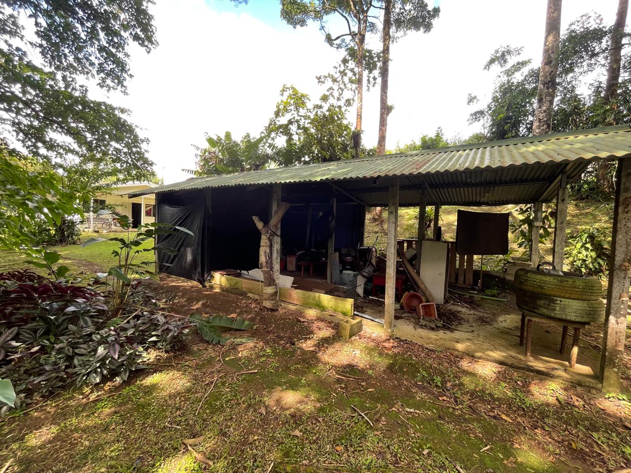 Enchanting Garden & Jungle Property, Walking Distance to Town, Arenal APMLS0048