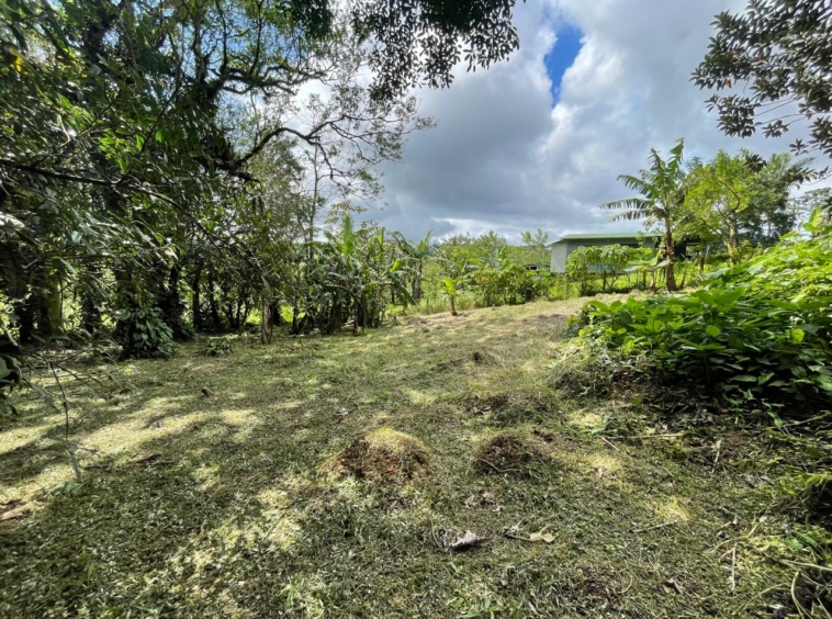 Enchanting Garden & Jungle Property, Walking Distance to Town, Arenal APMLS0048