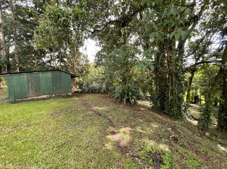 Enchanting Garden & Jungle Property, Walking Distance to Town, Arenal APMLS0048