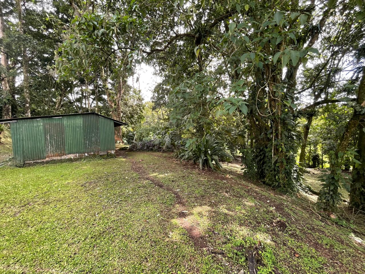 Enchanting Garden & Jungle Property, Walking Distance to Town, Arenal APMLS0048