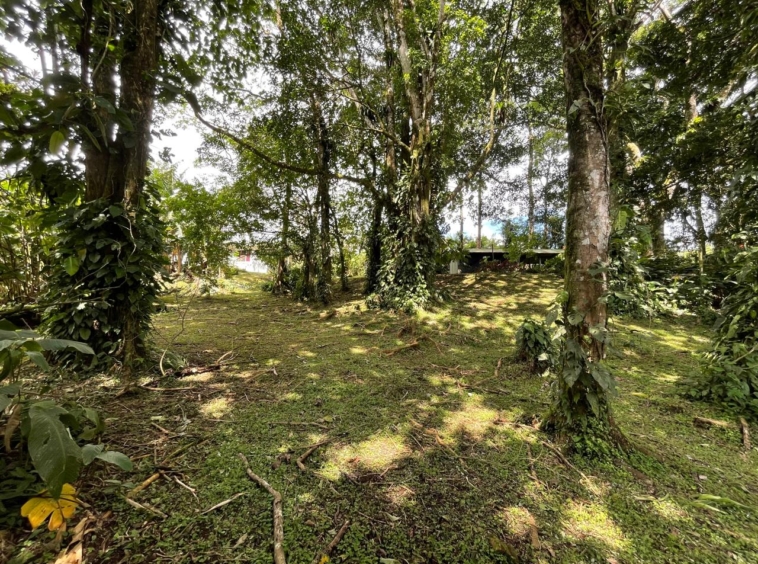 Enchanting Garden & Jungle Property, Walking Distance to Town, Arenal APMLS0048