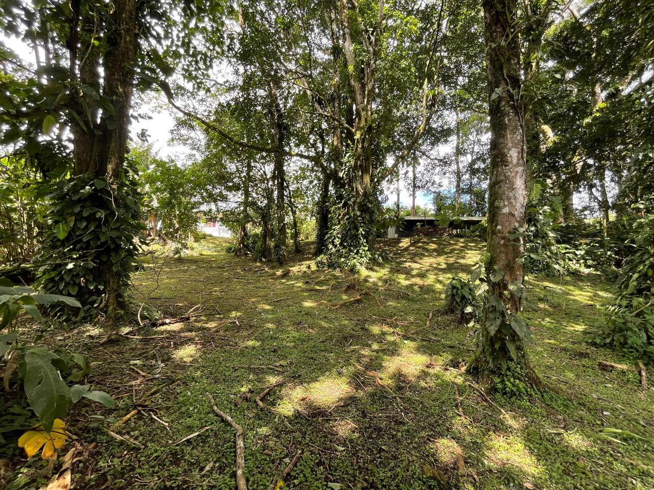 Enchanting Garden & Jungle Property, Walking Distance to Town, Arenal APMLS0048