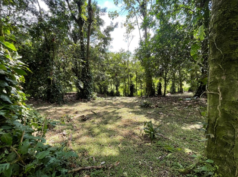 Enchanting Garden & Jungle Property, Walking Distance to Town, Arenal APMLS0048