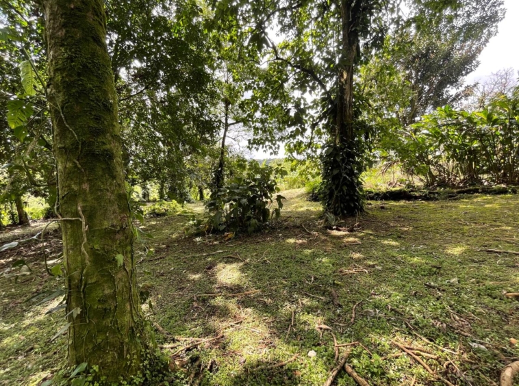 Enchanting Garden & Jungle Property, Walking Distance to Town, Arenal APMLS0048