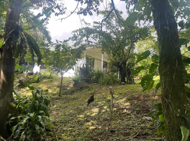 Enchanting Garden & Jungle Property, Walking Distance to Town, Arenal APMLS0048