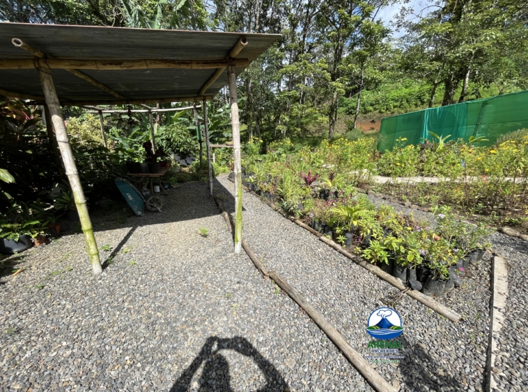 Amazing Starter Home & Butterfly Garden Business in Nuevo Arenal APMLS0049
