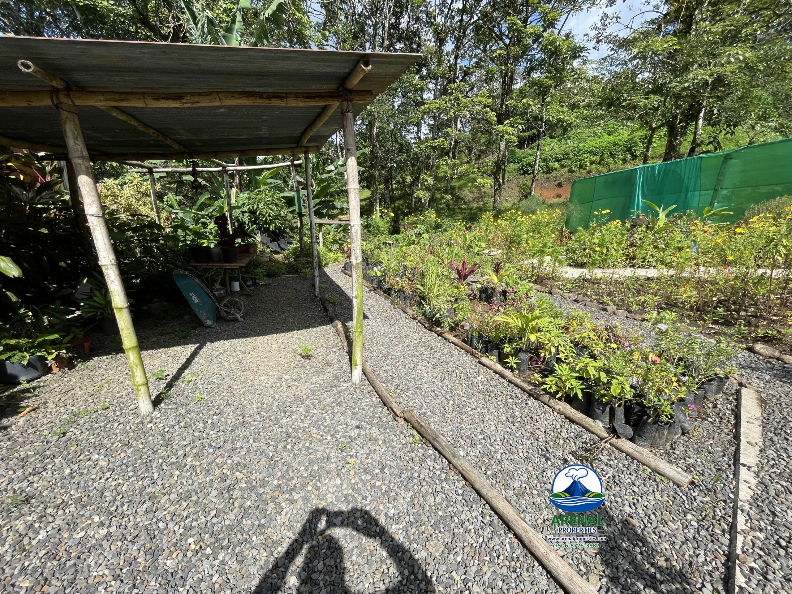 Amazing Starter Home & Butterfly Garden Business in Nuevo Arenal APMLS0049