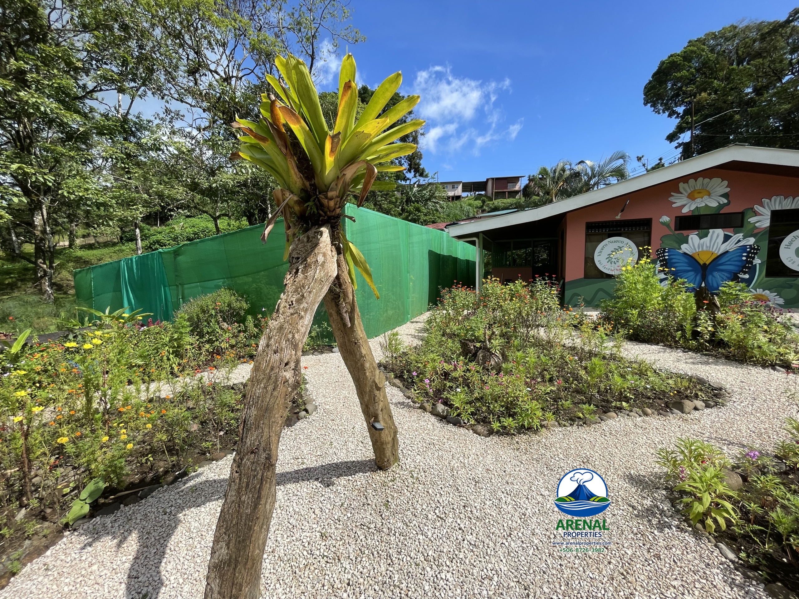 Amazing Starter Home & Butterfly Garden Business in Nuevo Arenal APMLS0049