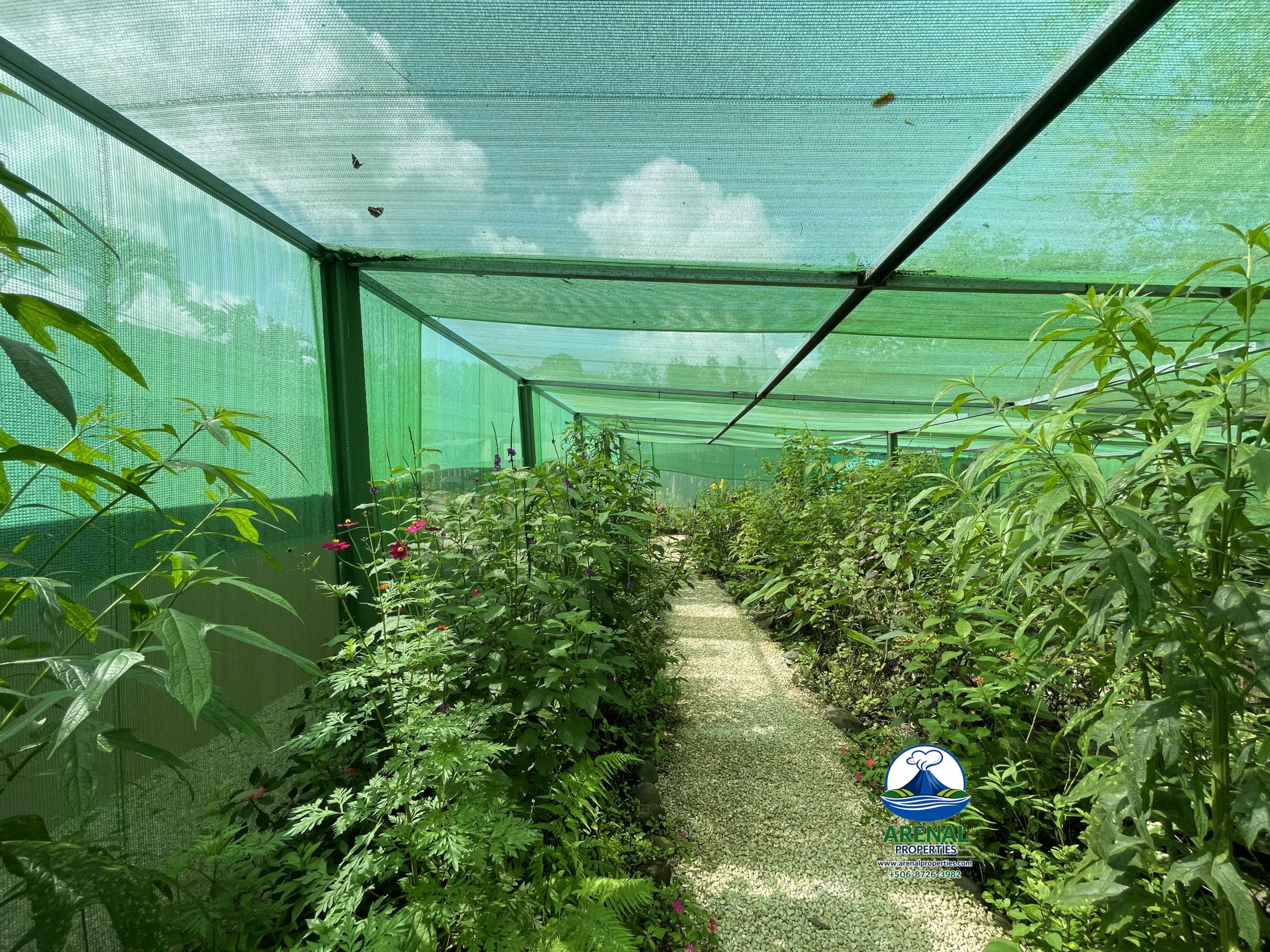 Amazing Starter Home & Butterfly Garden Business in Nuevo Arenal APMLS0049