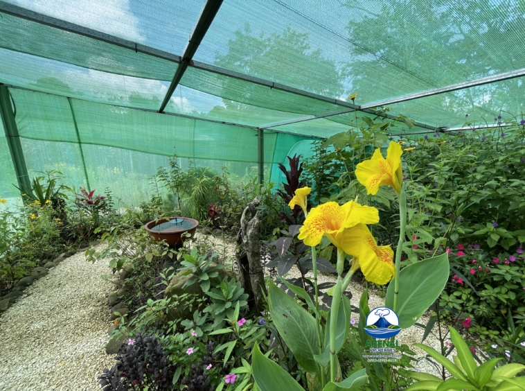 Amazing Starter Home & Butterfly Garden Business in Nuevo Arenal APMLS0049