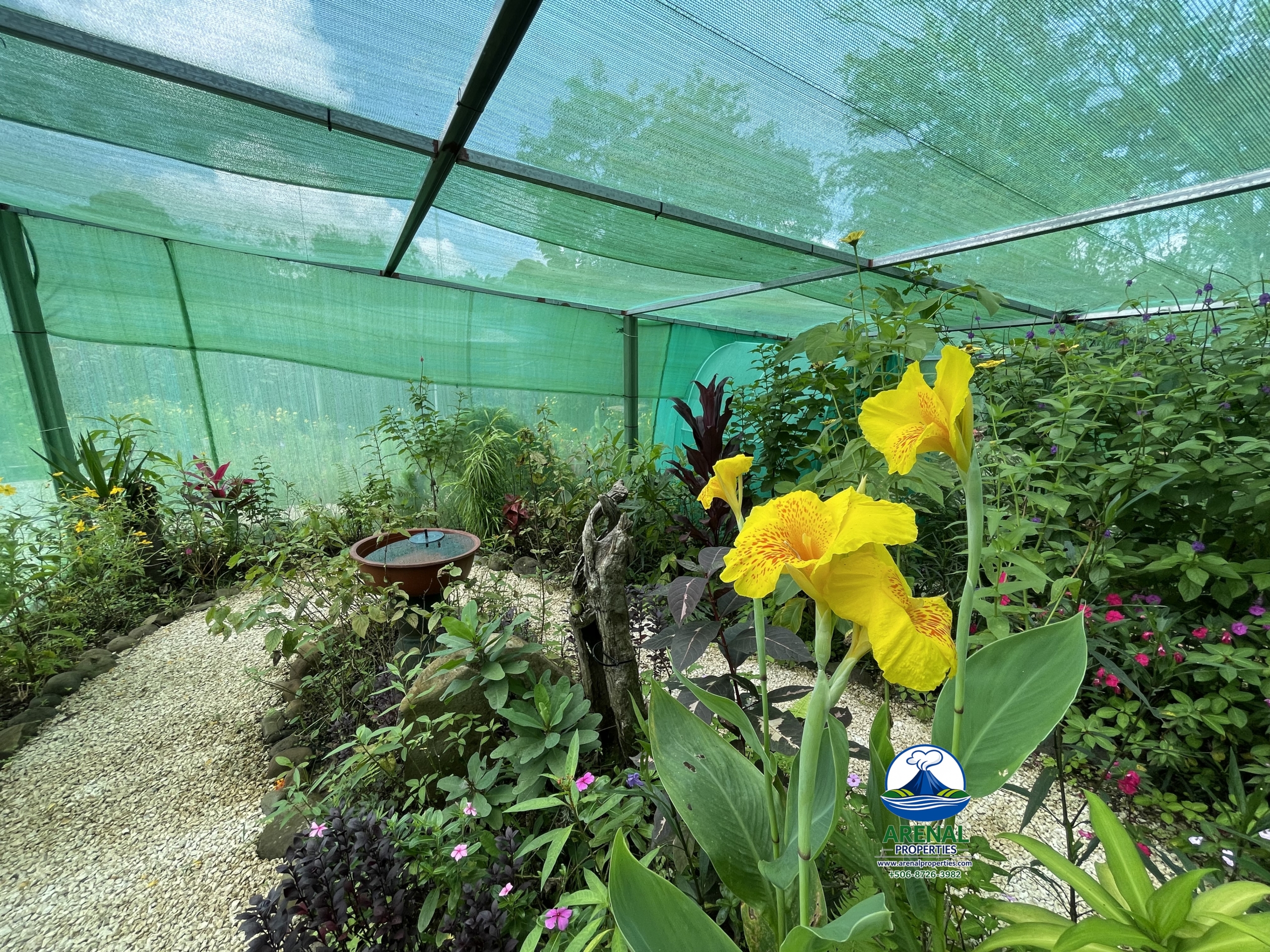 Amazing Starter Home & Butterfly Garden Business in Nuevo Arenal APMLS0049