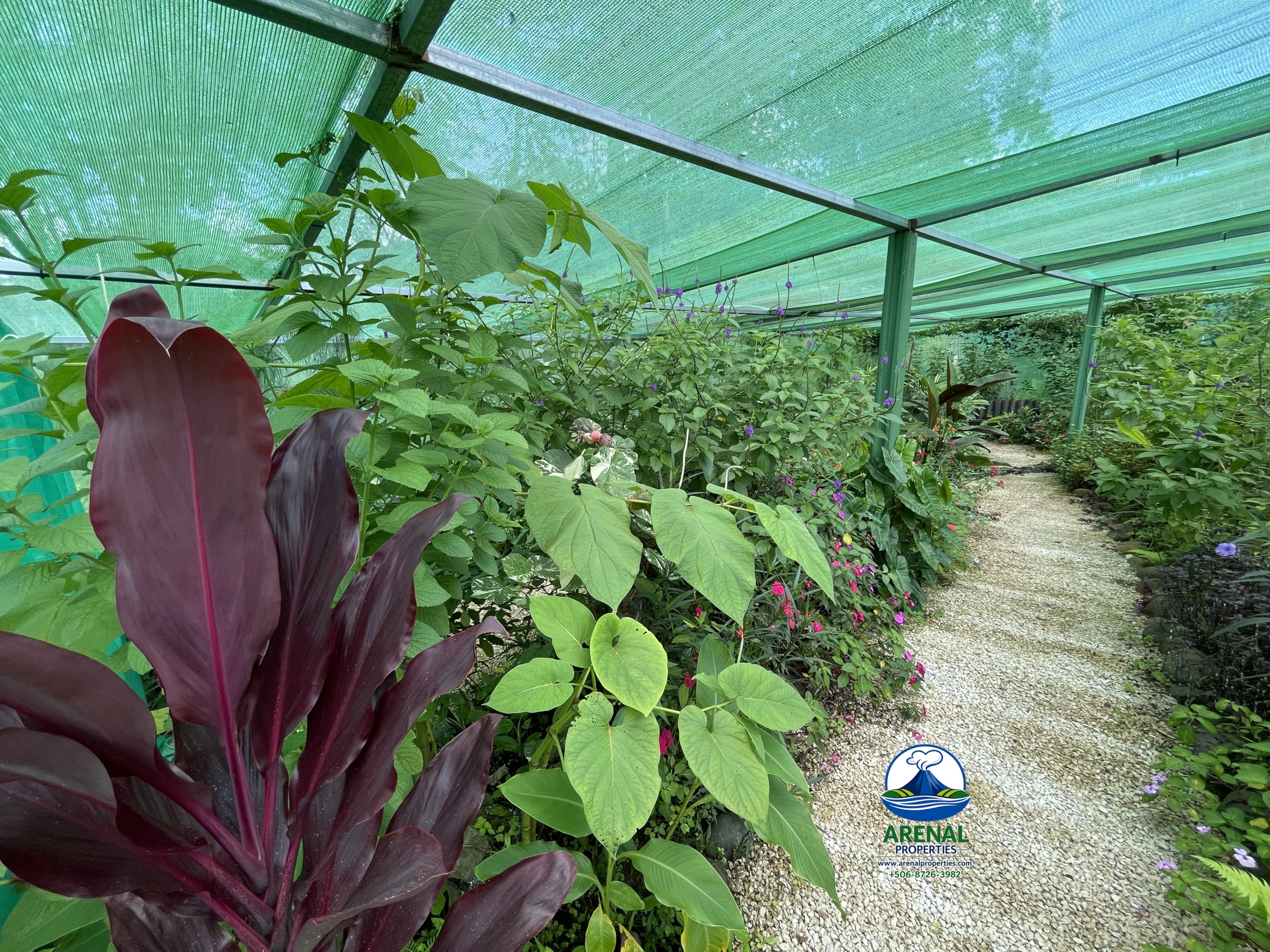 Amazing Starter Home & Butterfly Garden Business in Nuevo Arenal APMLS0049