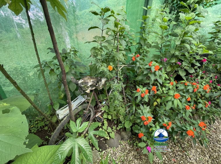 Amazing Starter Home & Butterfly Garden Business in Nuevo Arenal APMLS0049