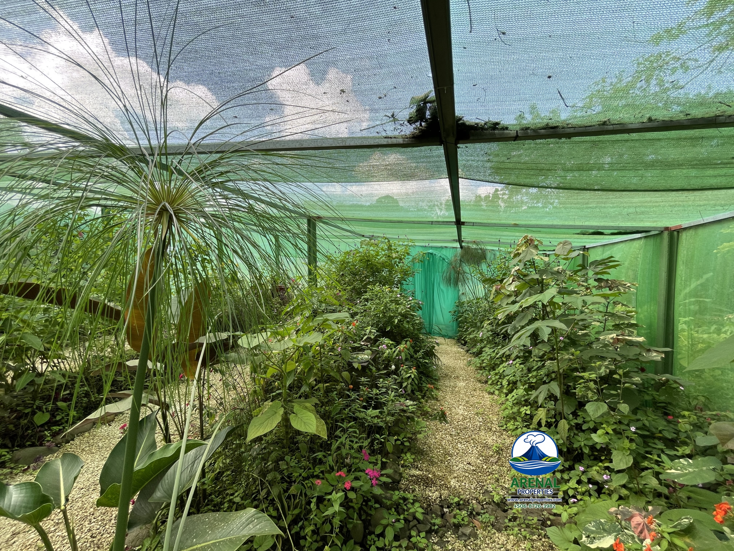 Amazing Starter Home & Butterfly Garden Business in Nuevo Arenal APMLS0049