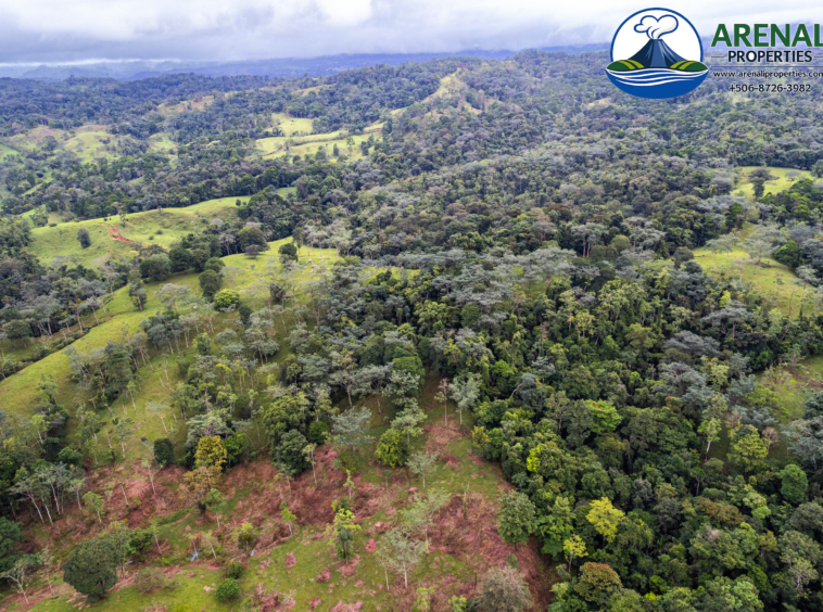 Expansive 128-Acre Farm with Valley Views Near Lake Arenal APMLS0051
