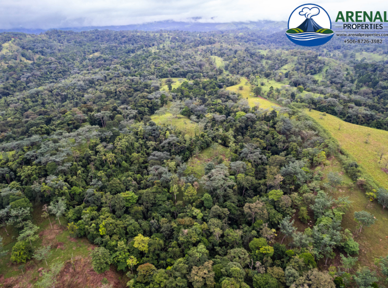 Expansive 128-Acre Farm with Valley Views Near Lake Arenal APMLS0051
