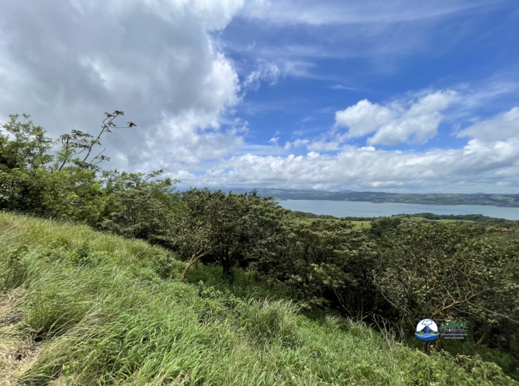 Stunning 5,000 m² Lake View Lot in El Aguacate (Nuevo Arenal) Approved House Plans