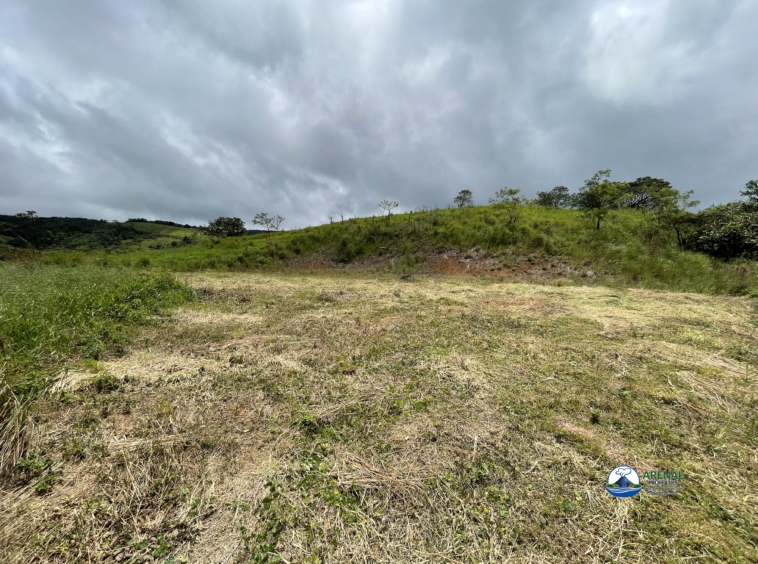 Stunning 5,000 m² Lake View Lot in El Aguacate (Nuevo Arenal) Approved House Plans
